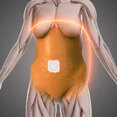 OXIDUS animation